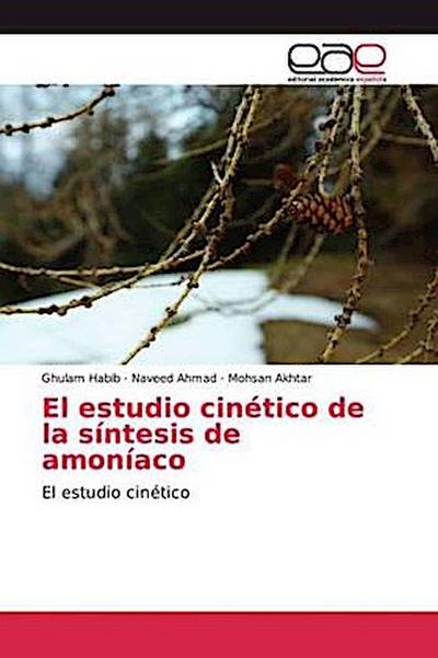 El estudio cinético de la síntesis de amoníaco