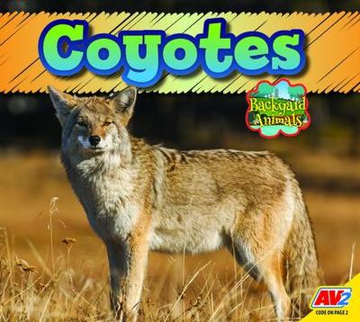 Coyote