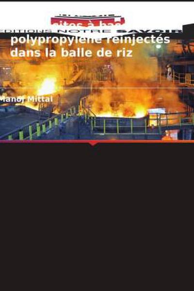 Caractérisation des composites à base de polypropylène réinjectés dans la balle de riz