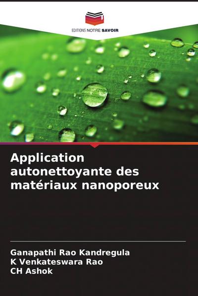 Application autonettoyante des matériaux nanoporeux