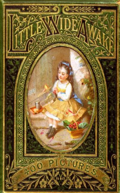 Little Wideawake - A story book for little children