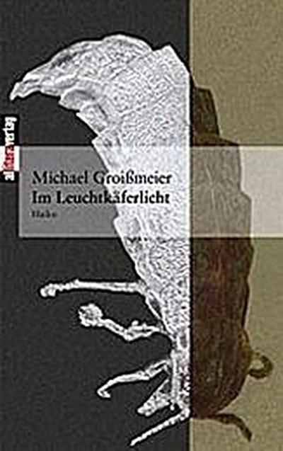 Im Leuchtkäferlicht