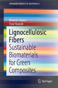 Lignocellulosic Fibers