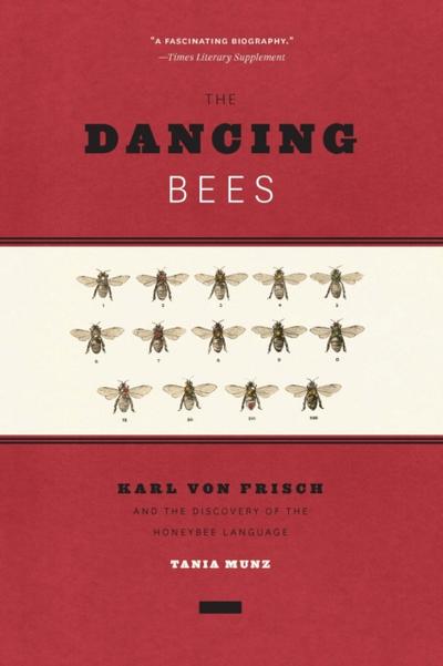 Dancing Bees