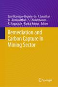 Remediation and Carbon Capture in Mining Sector
