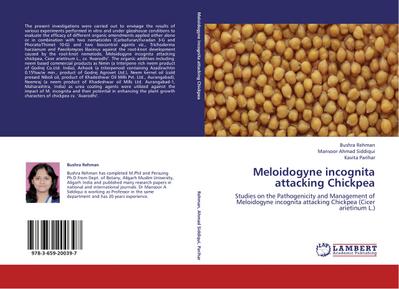 Meloidogyne incognita attacking Chickpea