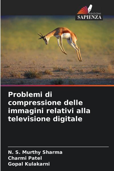 Problemi di compressione delle immagini relativi alla televisione digitale