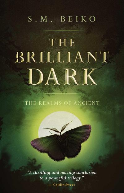 The Brilliant Dark
