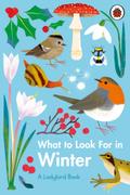 What to Look For in Winter