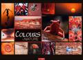 Colours of Nature Kalender 2026