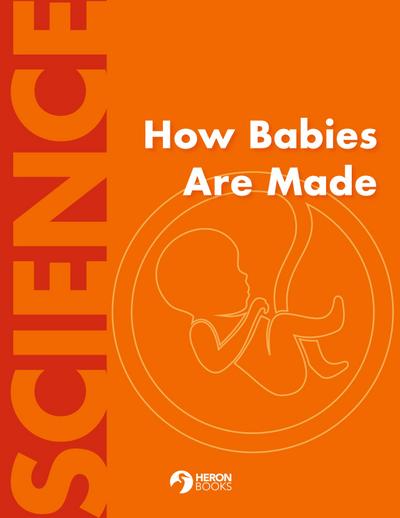 How Babies Are Made
