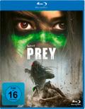 Prey BD