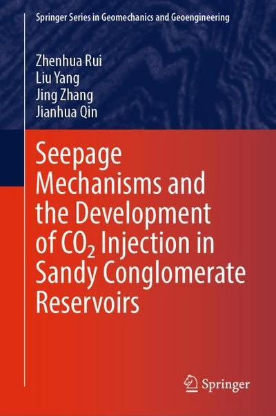 Seepage Mechanisms and the Development of CO2 Injection in Sandy Conglomerate Reservoirs