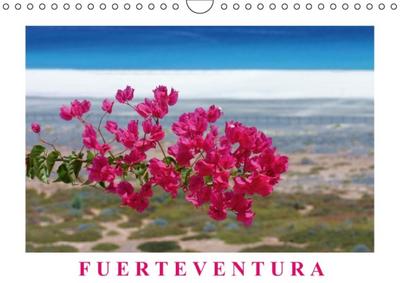 Fuerteventura (Wandkalender 2015 DIN A4 quer) - Thomas Fietzek