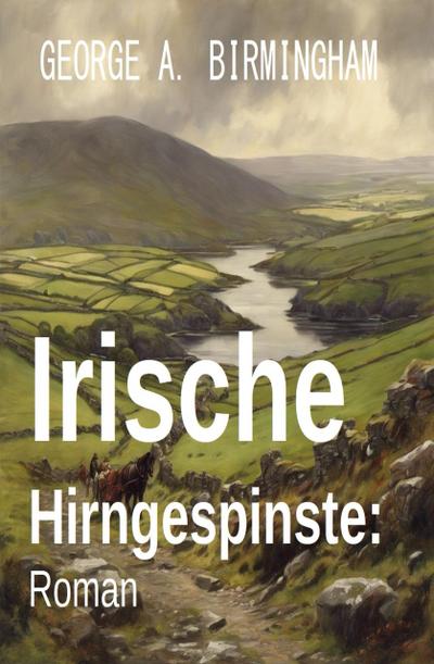 Irische Hirngespinste: Roman