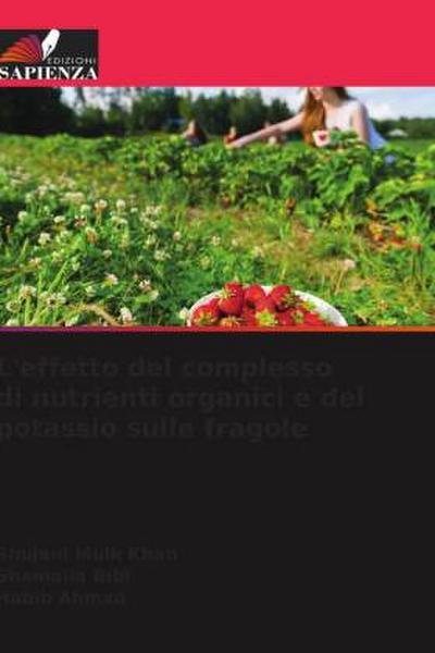 L’effetto del complesso di nutrienti organici e del potassio sulle fragole