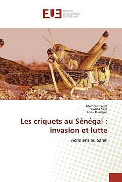Les criquets au Sénégal : invasion et lutte