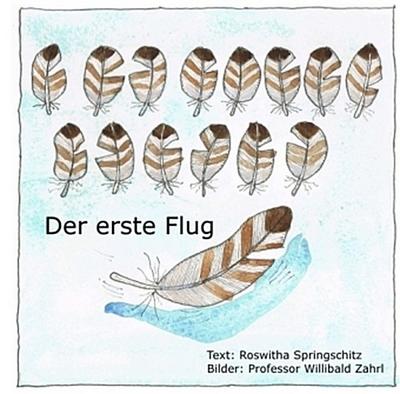 Der erste Flug
