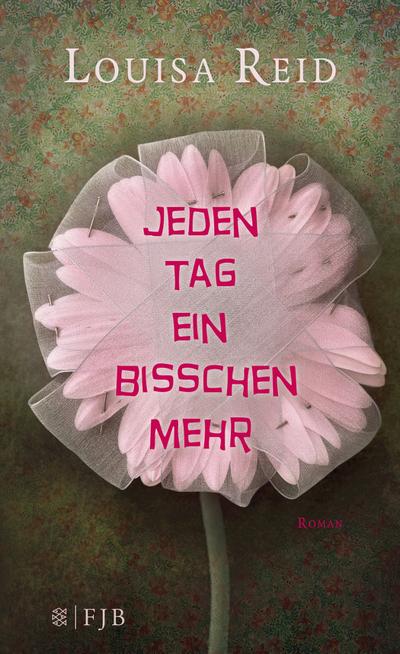 Jeden Tag ein bisschen mehr: Roman