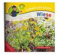 Wiese