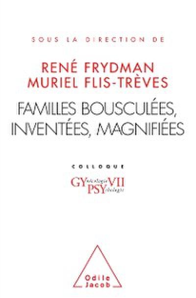Familles bousculees, inventees, magnifiees