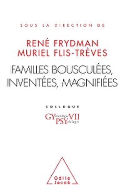 Familles bousculées, inventées, magnifiées