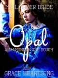 Mail Order Bride: Opal - A Diamond In The Rough (Brides Of Paradise, #6)