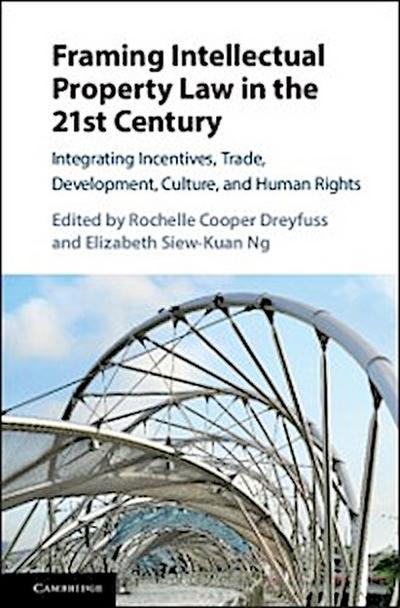 Framing Intellectual Property Law in the 21st Century