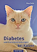 Diabetes und Nierenerkrankungen bei Katzen