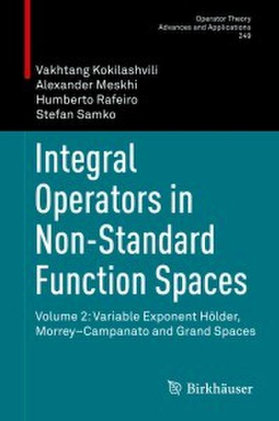 Integral Operators in Non-Standard Function Spaces