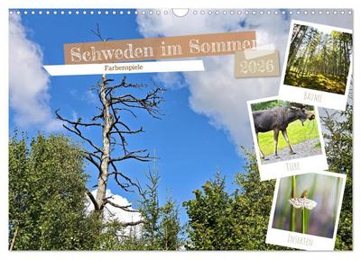 Schweden im Sommer (Wandkalender 2026 DIN A3 quer), CALVENDO Monatskalender