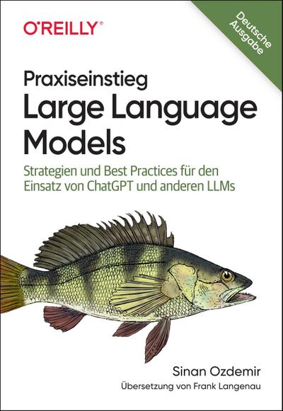 Praxiseinstieg Large Language Models