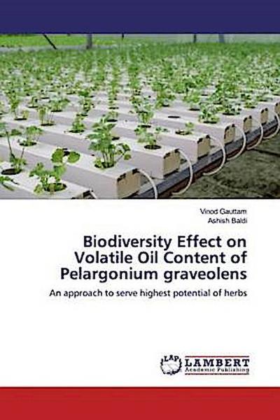 Biodiversity Effect on Volatile Oil Content of Pelargonium graveolens