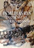 In Medias Res: Inside Nalini Malani’s Shadow Plays
