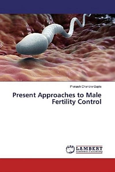 Present Approaches to Male Fertility Control