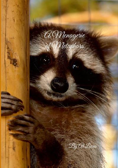 A Menagerie of Metaphors