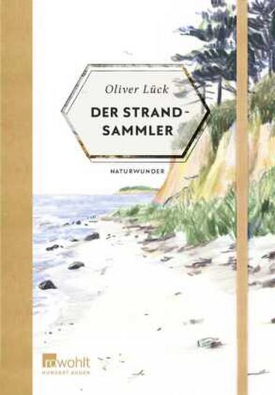 Der Strandsammler