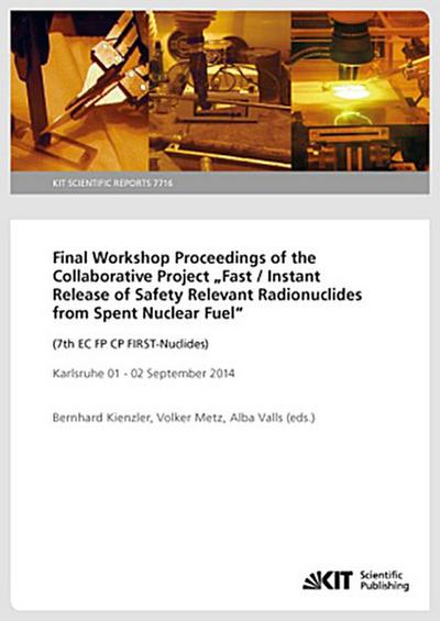 Final Workshop Proceedings of the Collaborative Project