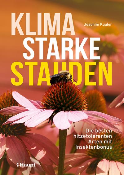 Klimastarke Stauden