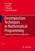 Decomposition Techniques in Mathematical Programmi