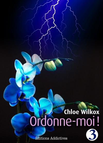 Ordonne-moi ! Volume 3