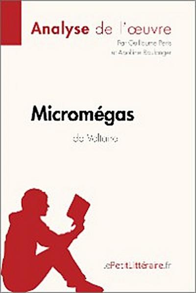 Micromégas de Voltaire (Analyse de l’oeuvre)