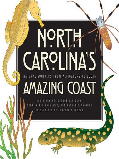 North Carolina’s Amazing Coast