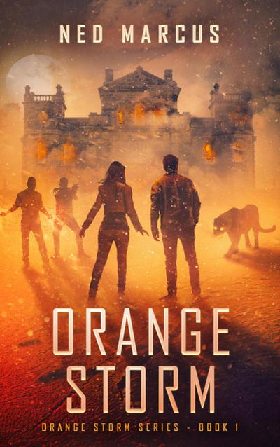 Orange Storm (Orange Storm Series, #1)