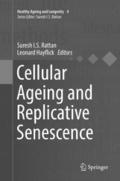Cellular Ageing and Replicative Senescence