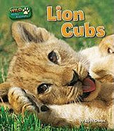 Lion Cubs