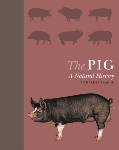 The Pig