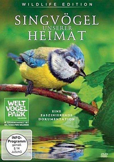 Singvögel unserer Heimat, 1 DVD