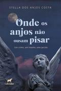 Onde os anjos não ousam pisar
