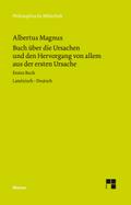 Buch über die Ursachen und den Hervorgang von allem aus der ersten Ursache
